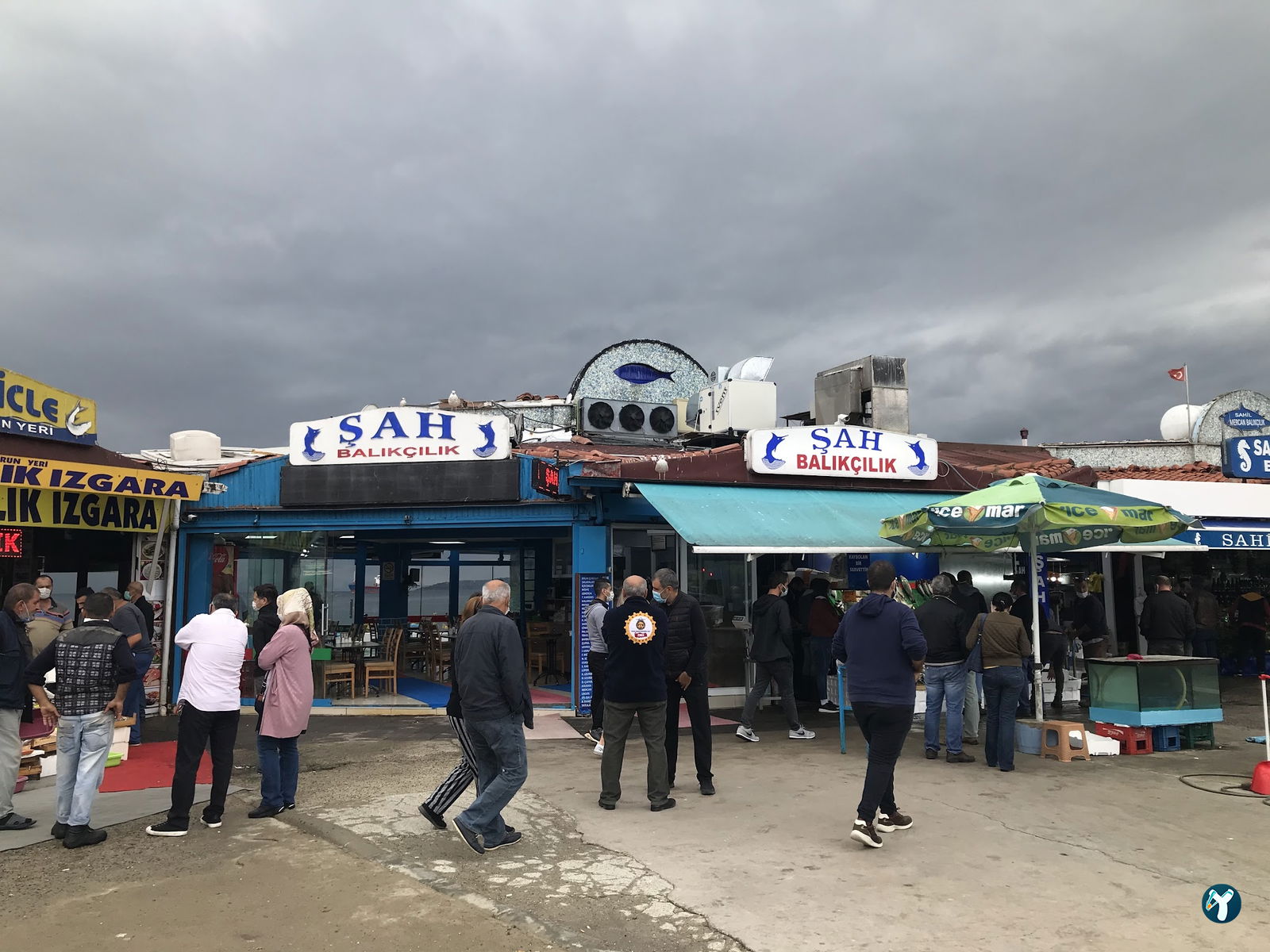 Şah Balıkçılık
