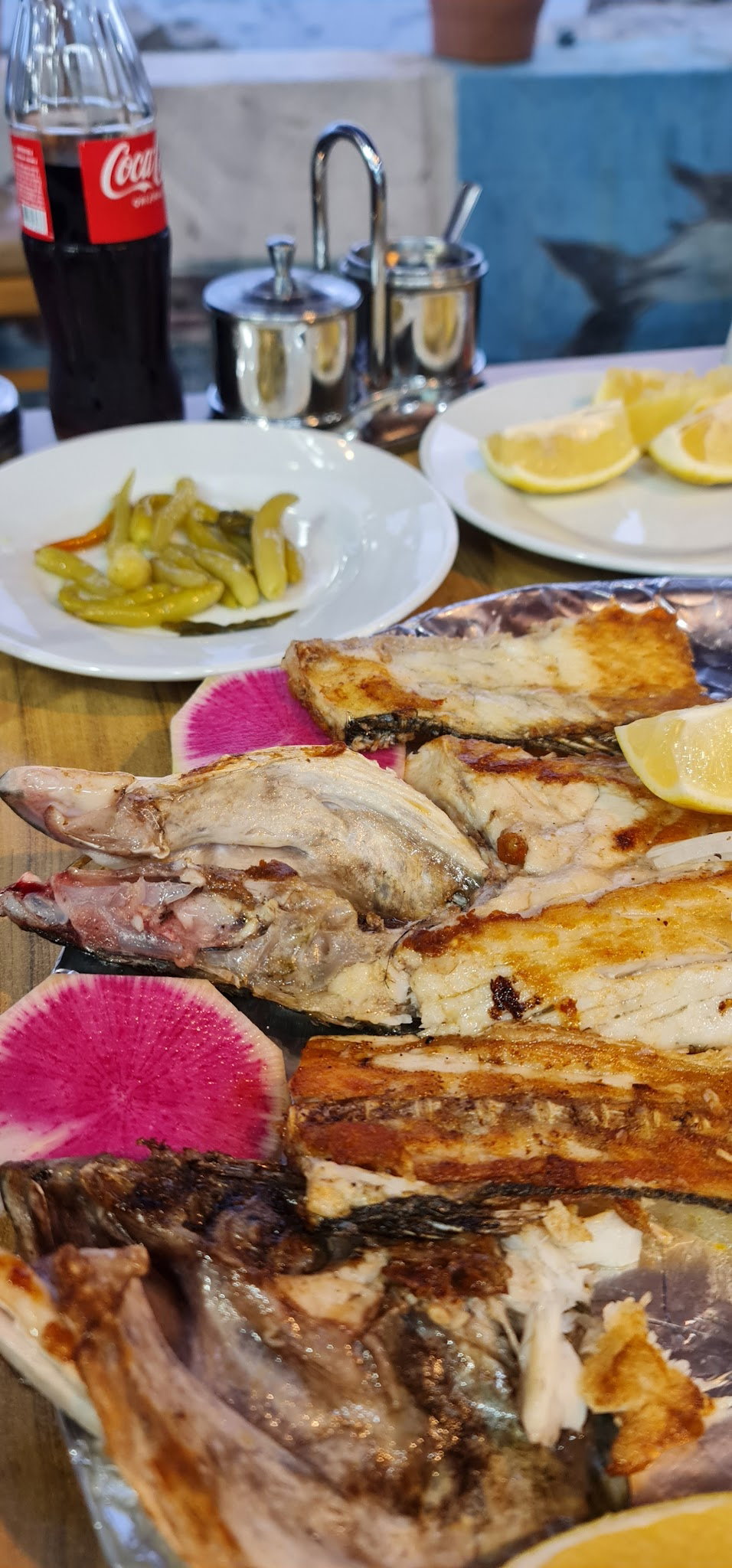 Şah Balıkçılık