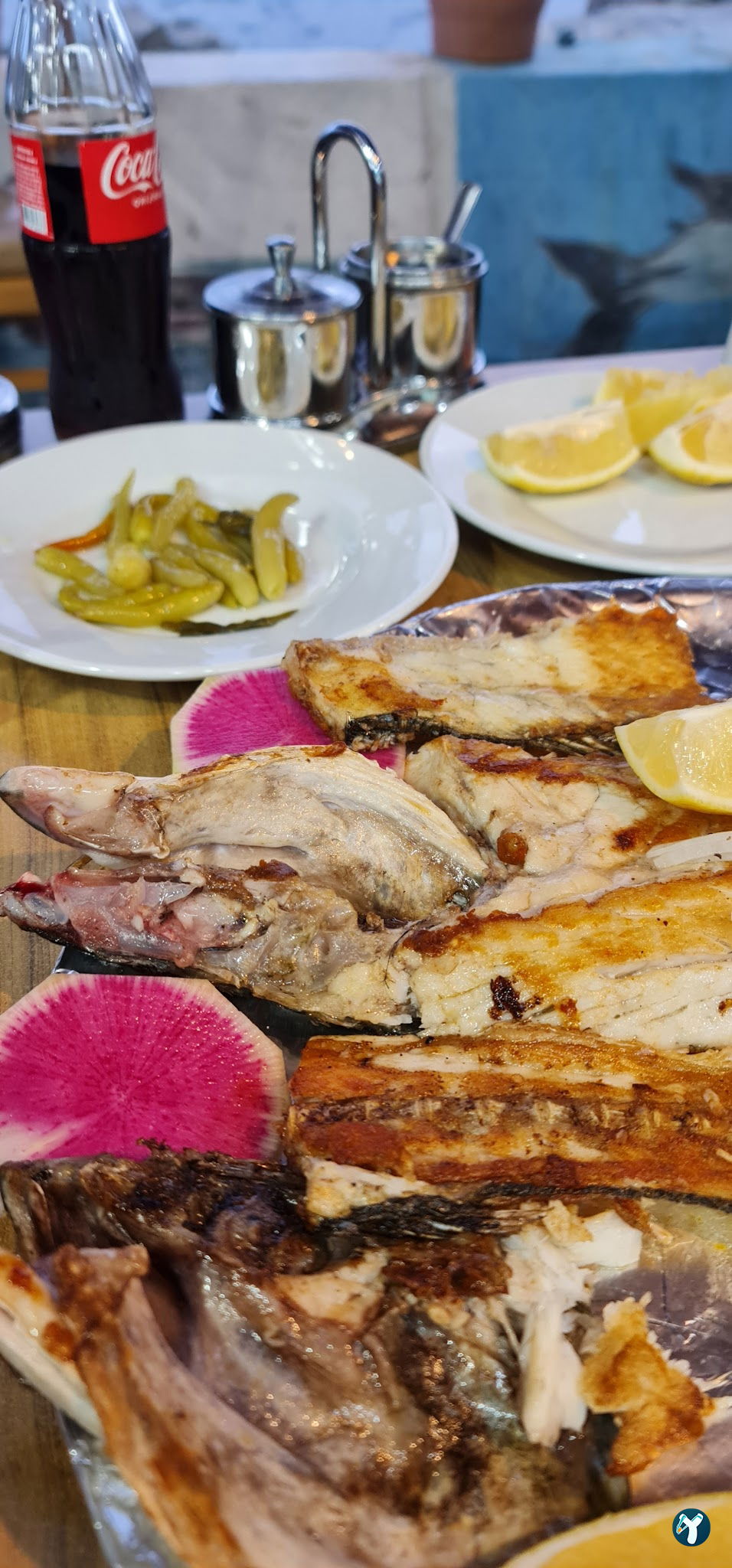 Şah Balıkçılık