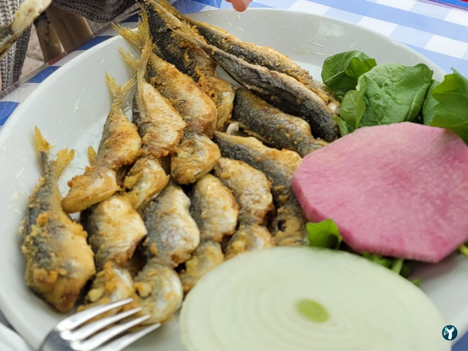 Şah Balıkçılık