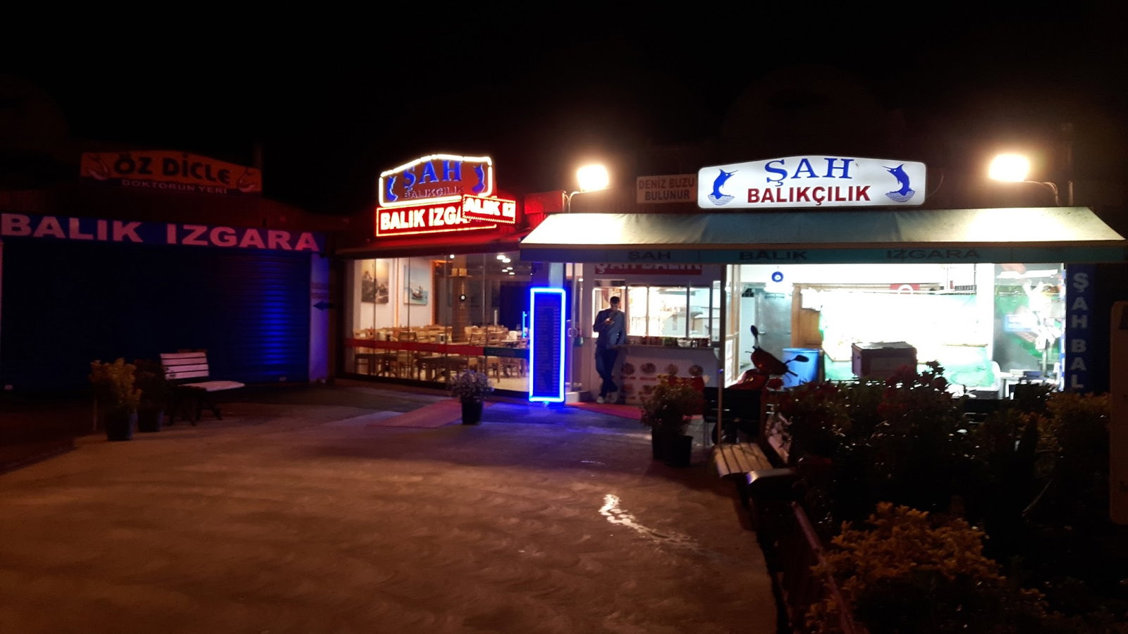 Şah Balıkçılık