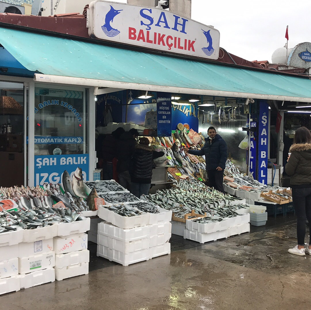 Şah Balıkçılık