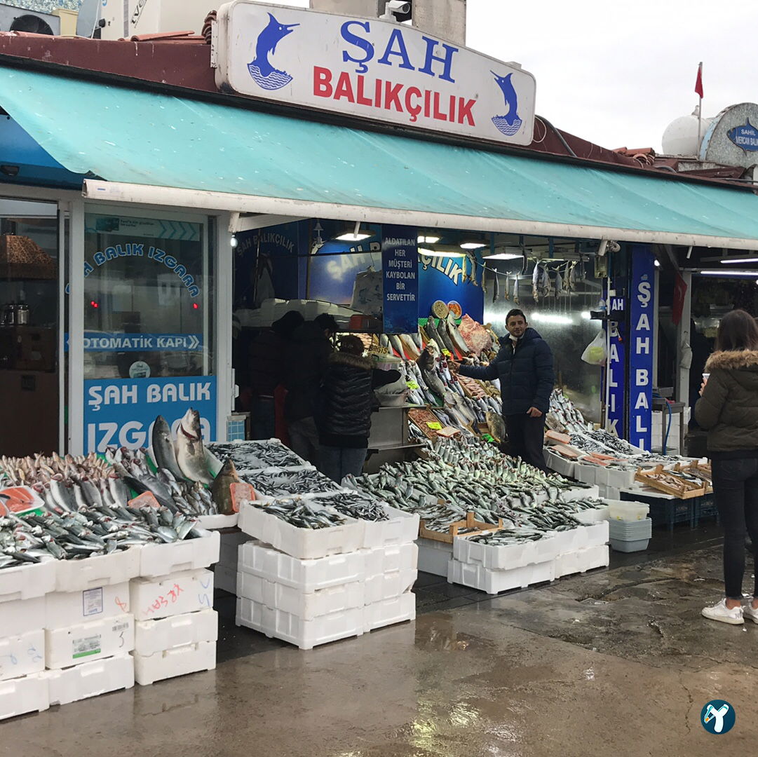 Şah Balıkçılık