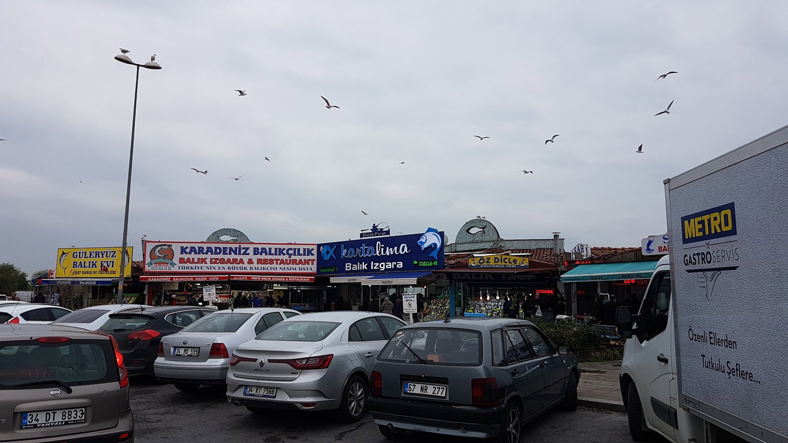 Şah Balıkçılık