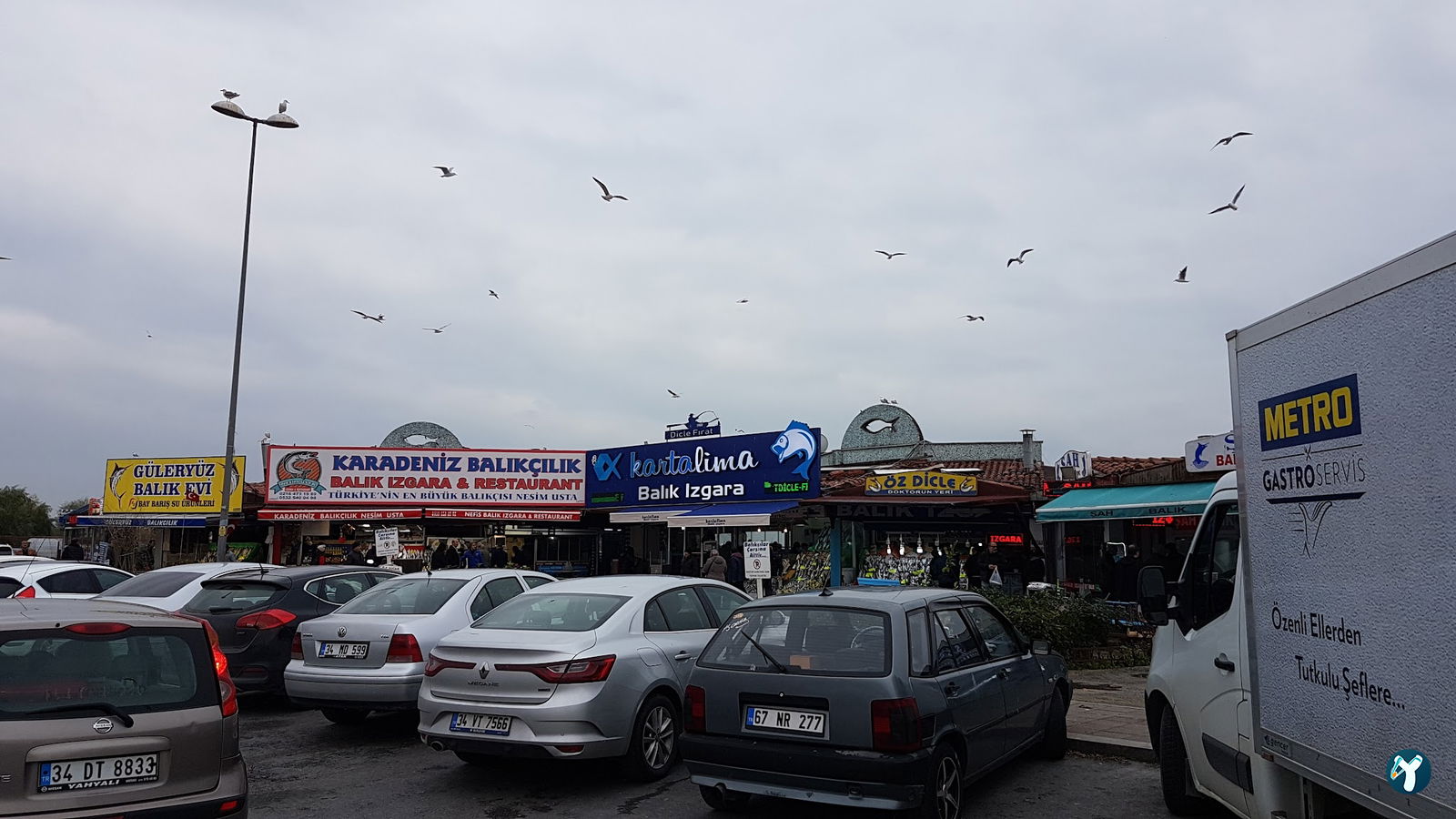 Şah Balıkçılık