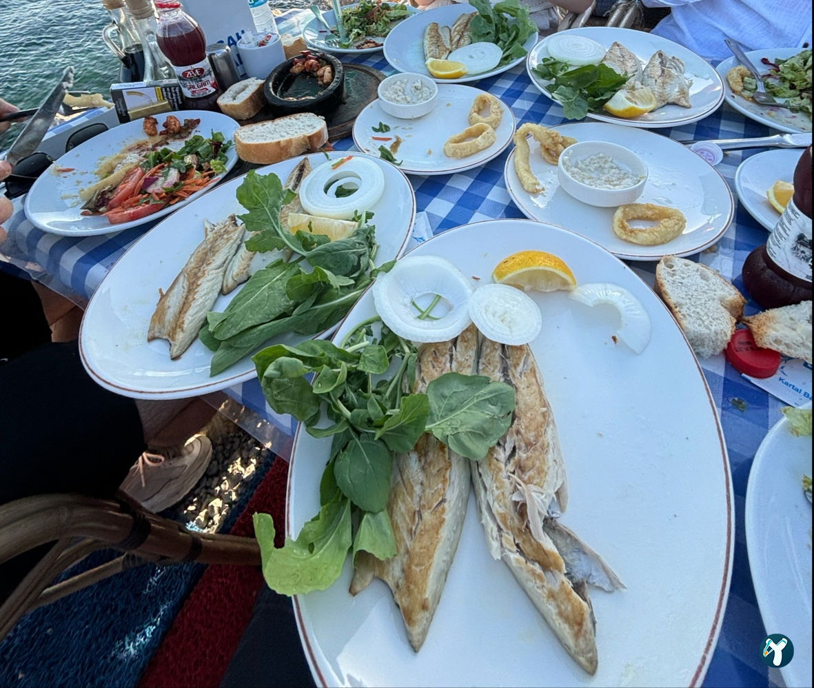 Şah Balıkçılık