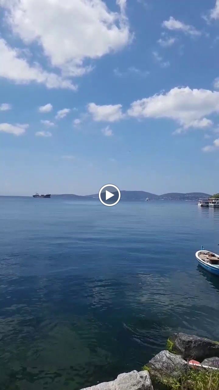 Şah Balıkçılık