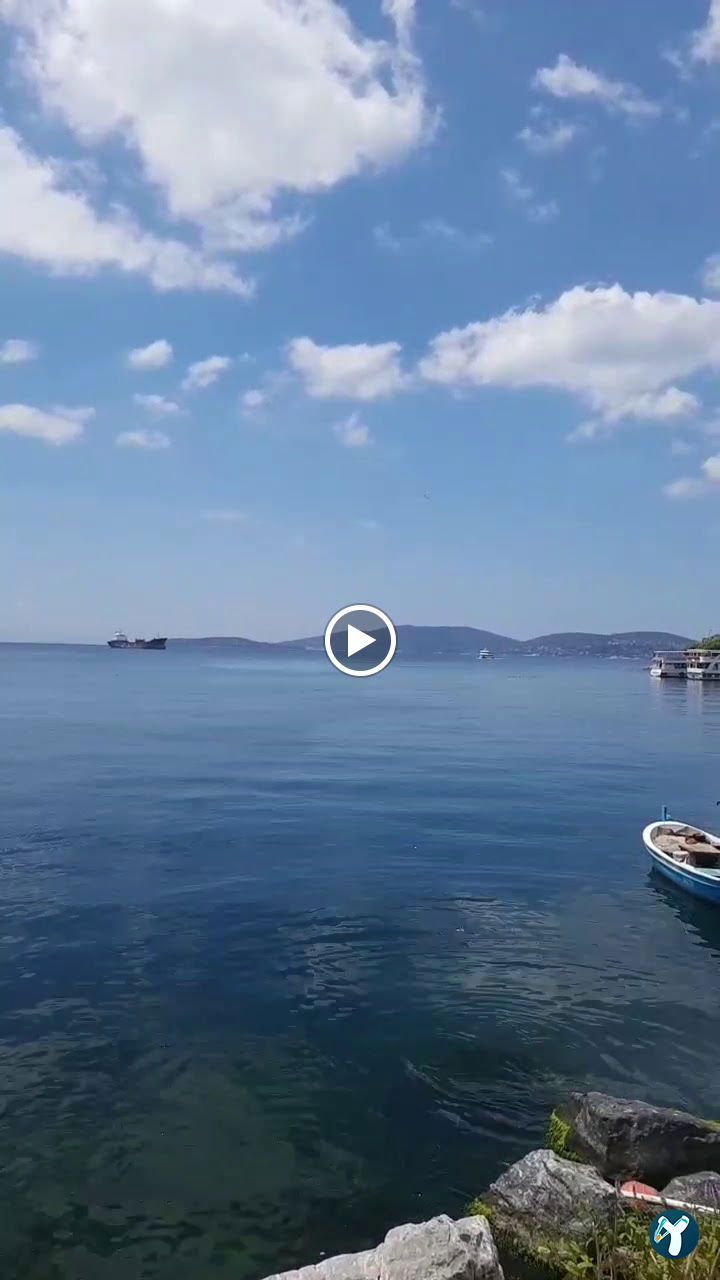 Şah Balıkçılık