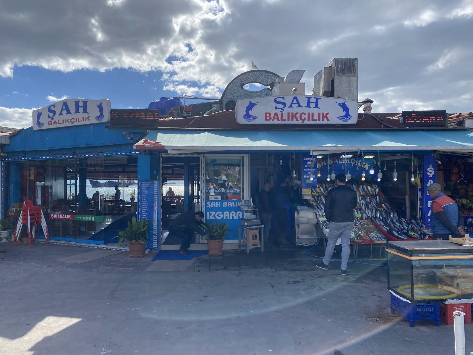 Şah Balıkçılık