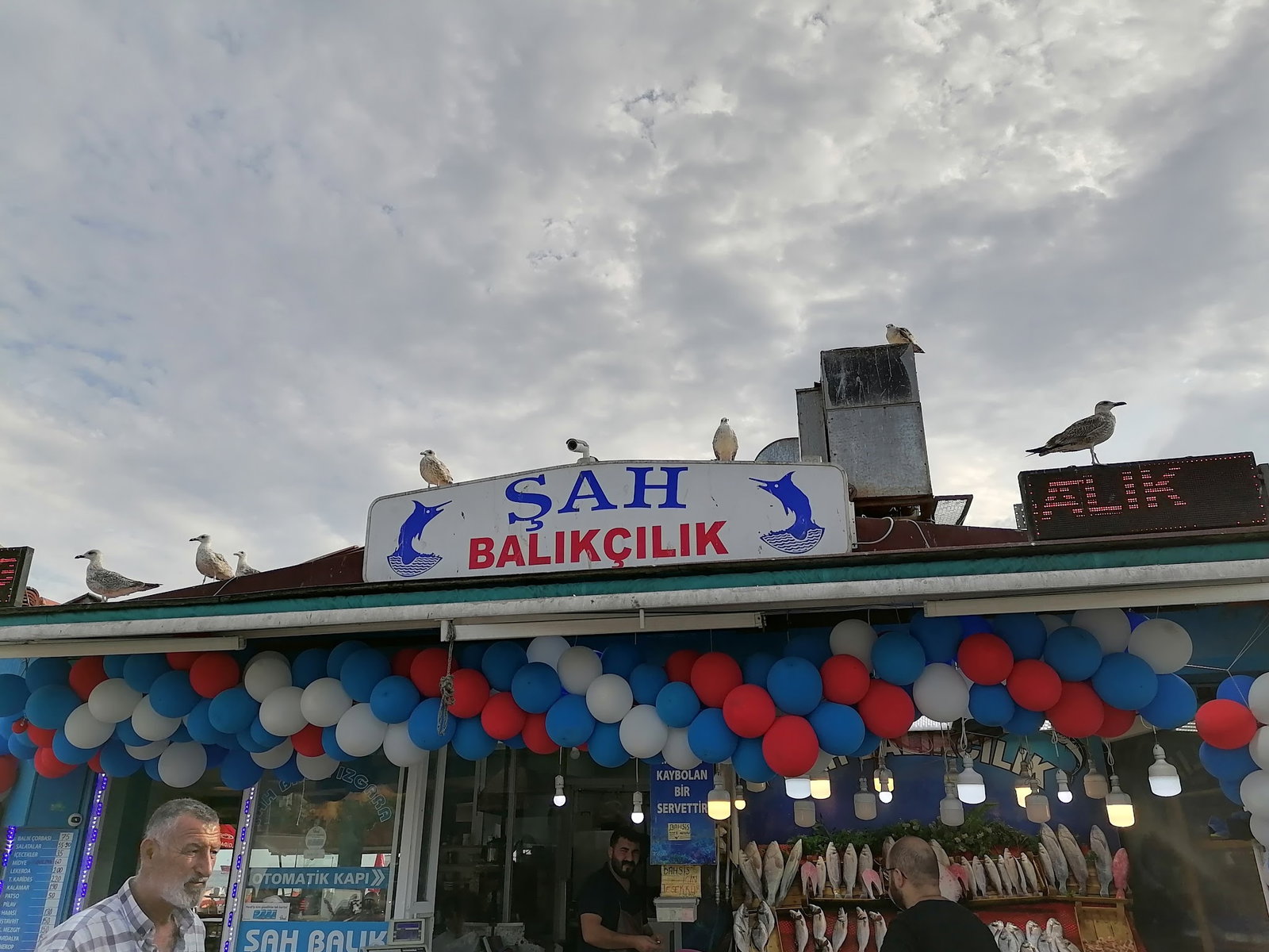 Şah Balıkçılık