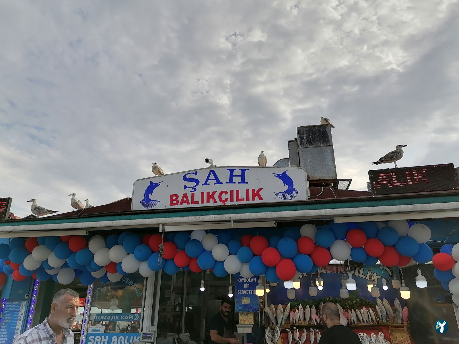 Şah Balıkçılık