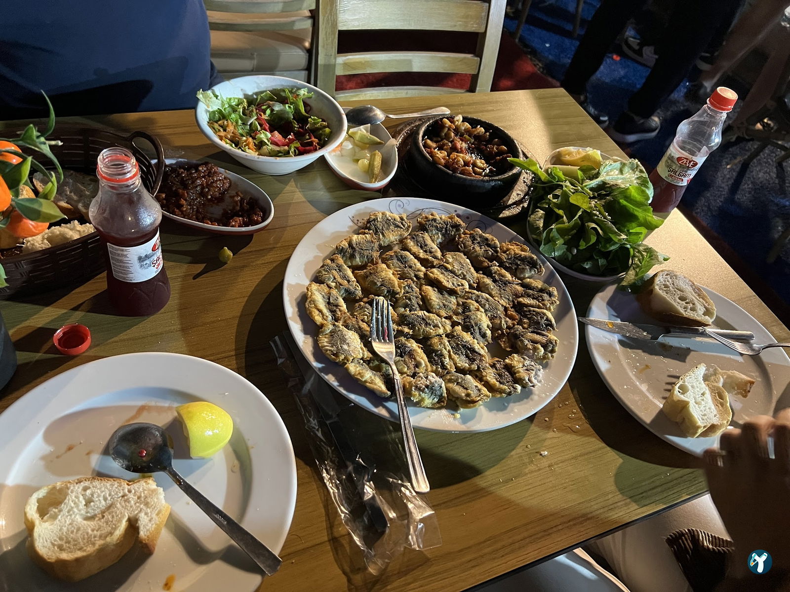Şah Balıkçılık