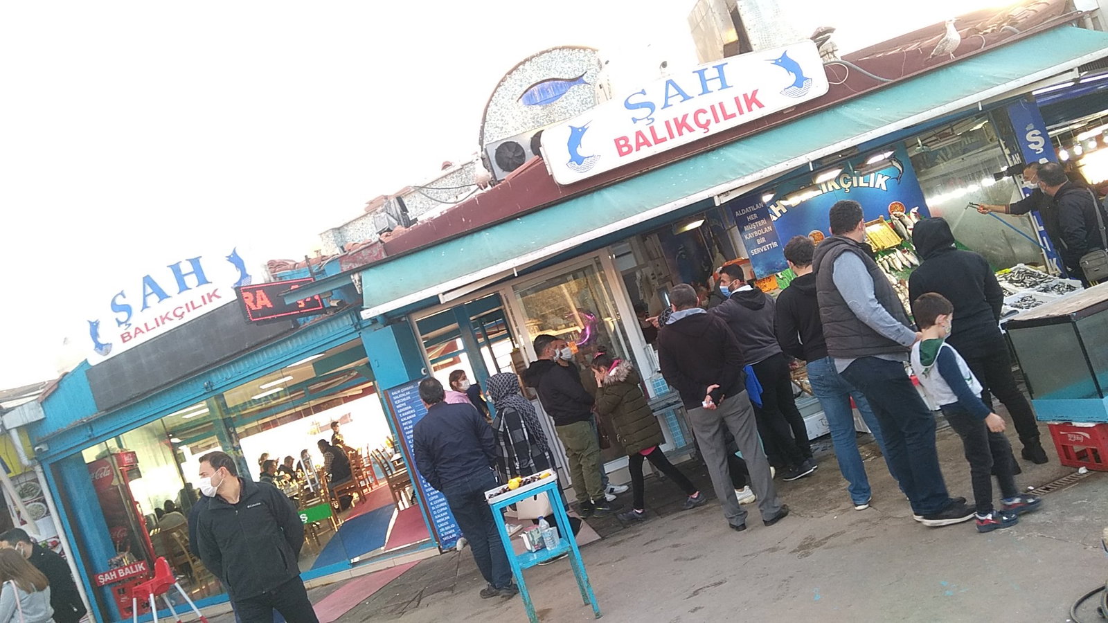 Şah Balıkçılık