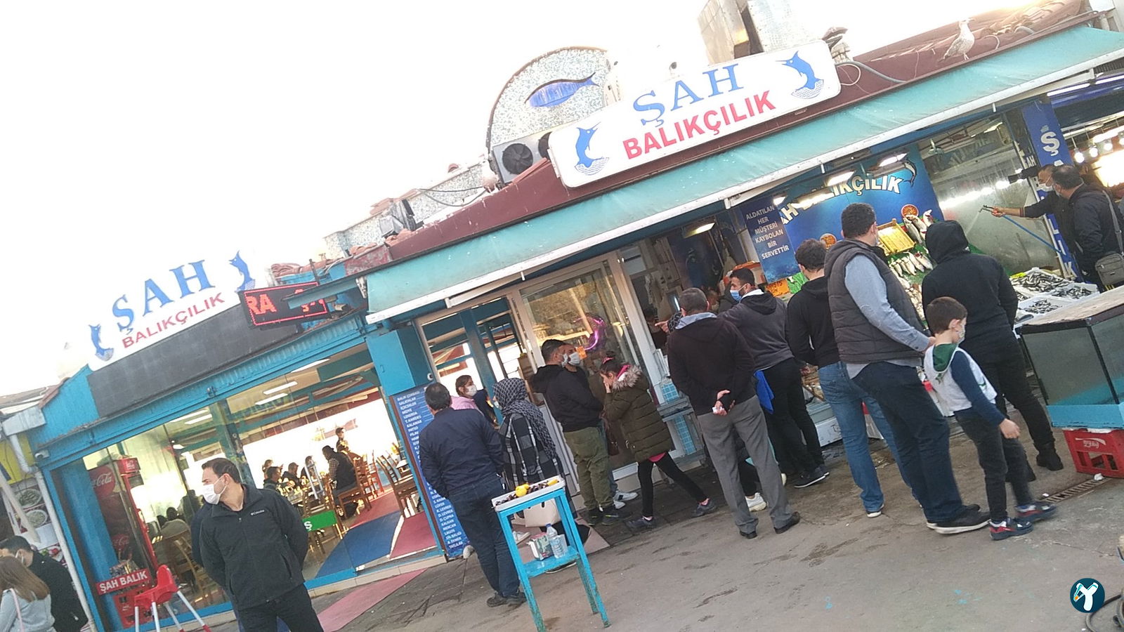Şah Balıkçılık