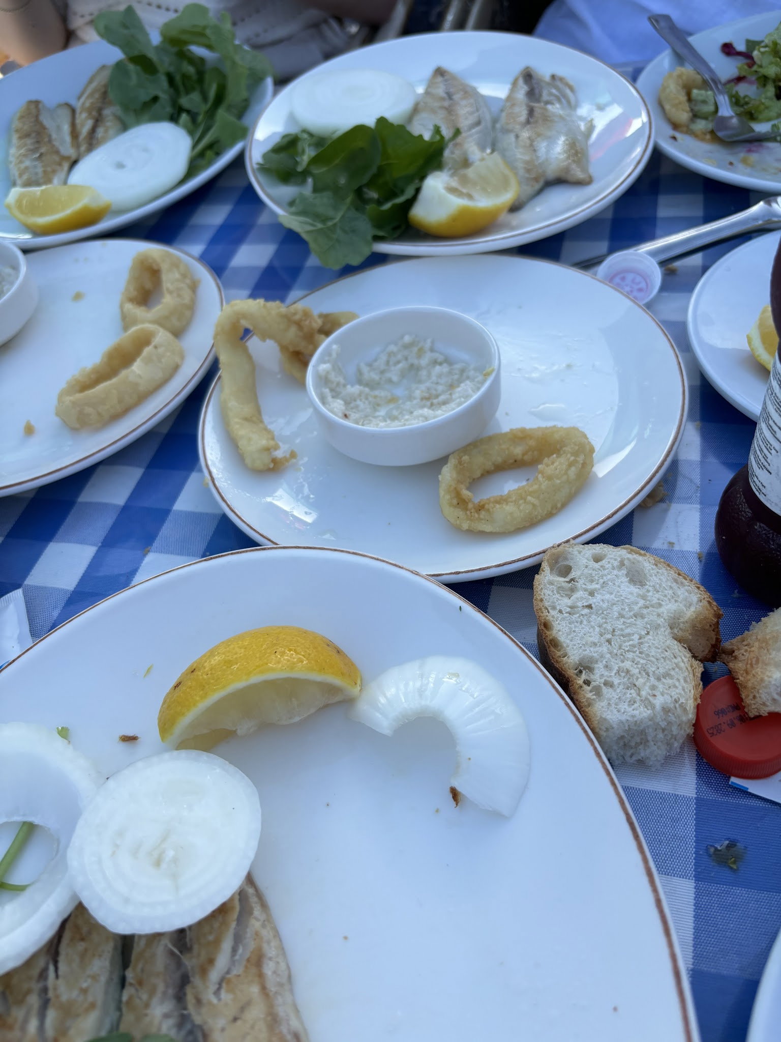 Şah Balıkçılık
