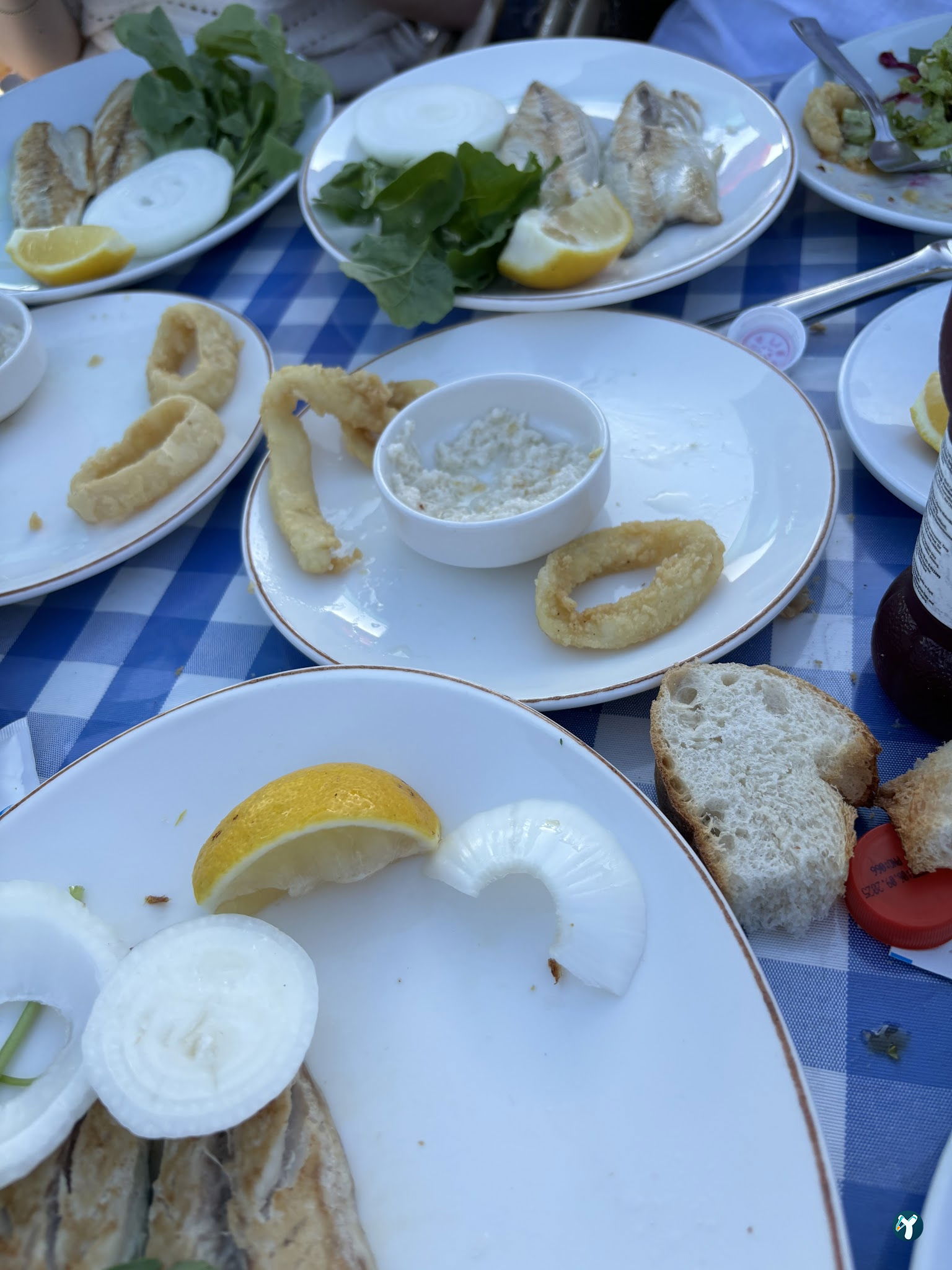 Şah Balıkçılık