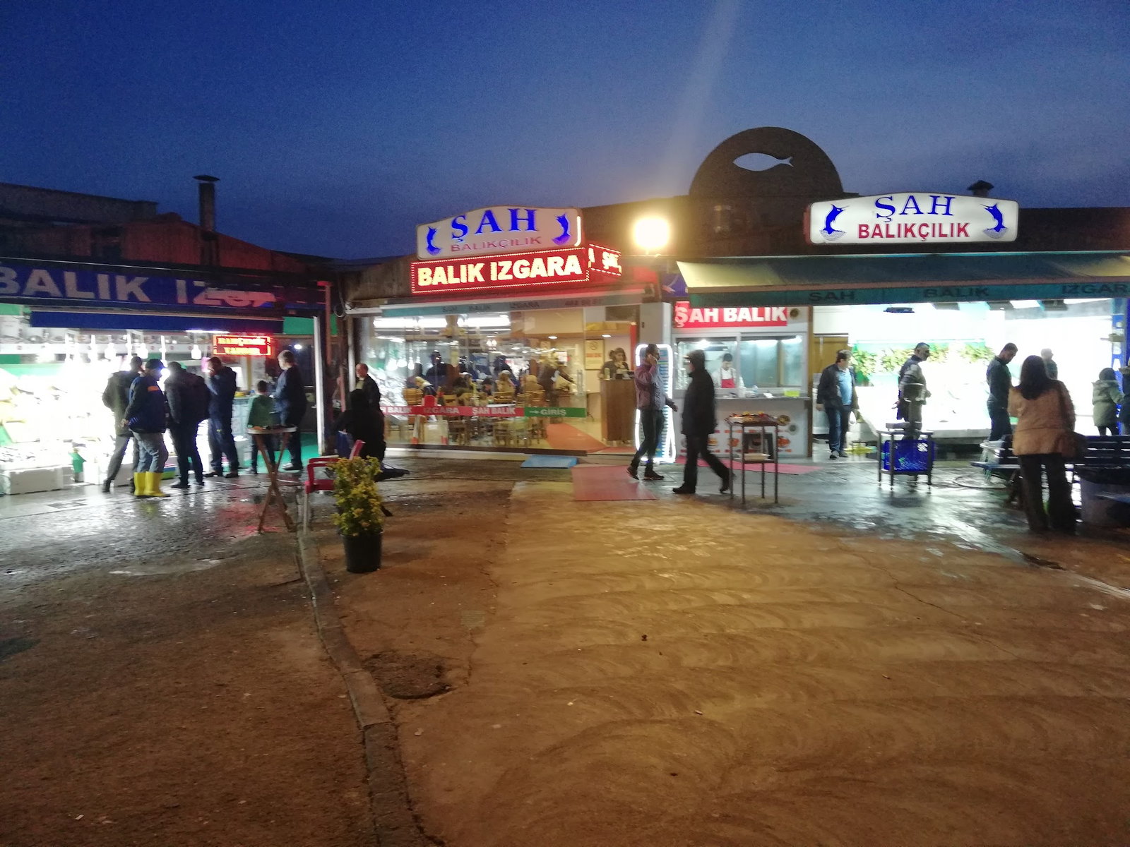 Şah Balıkçılık