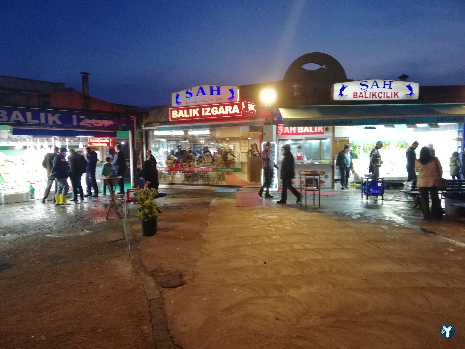 Şah Balıkçılık