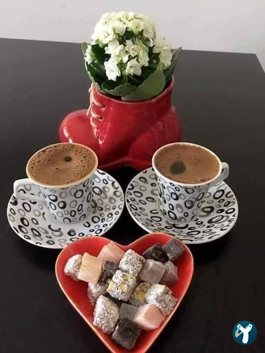 Dialog Cafee