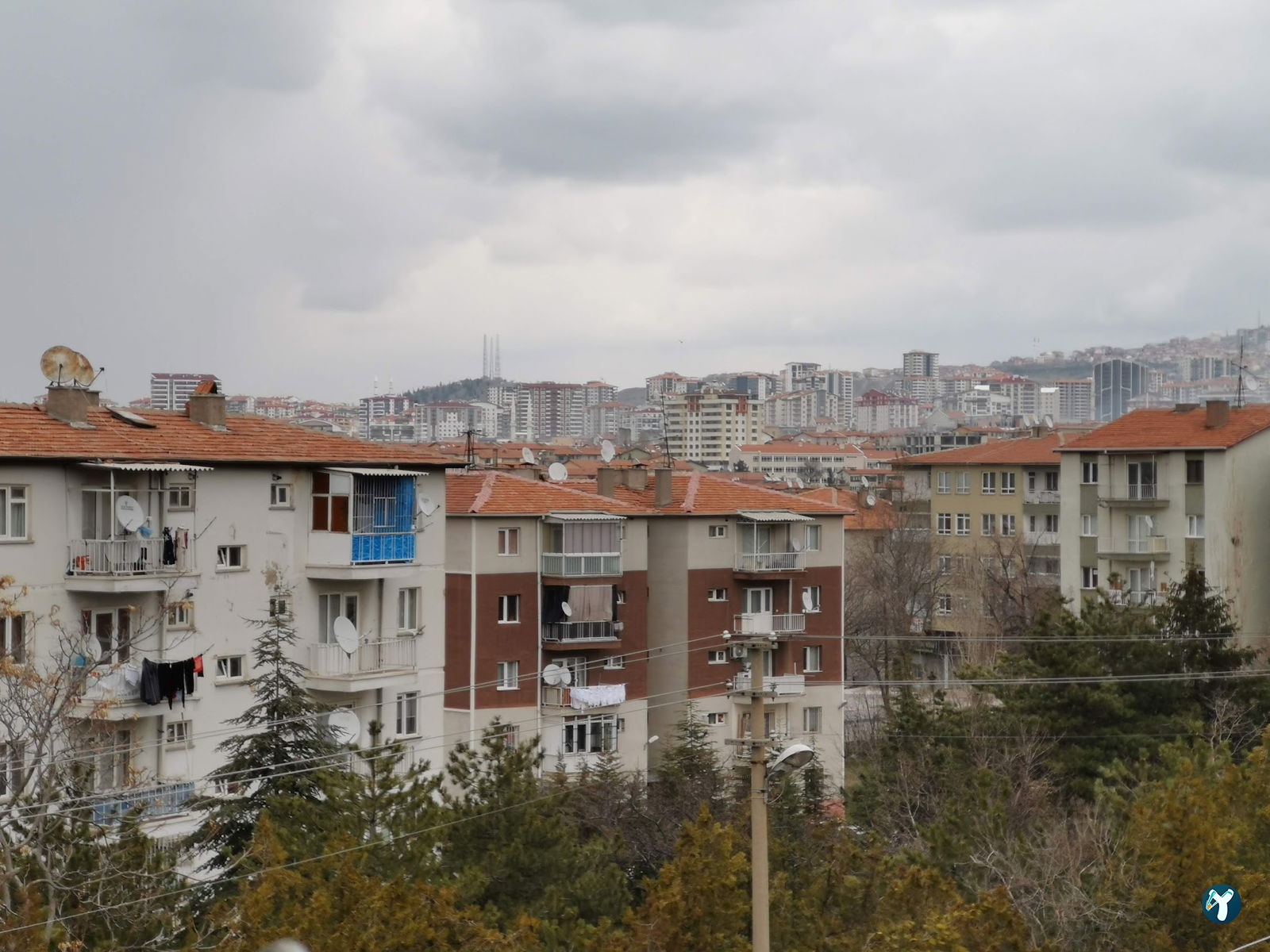 Urfali Kebapçi Mahmut Usta
