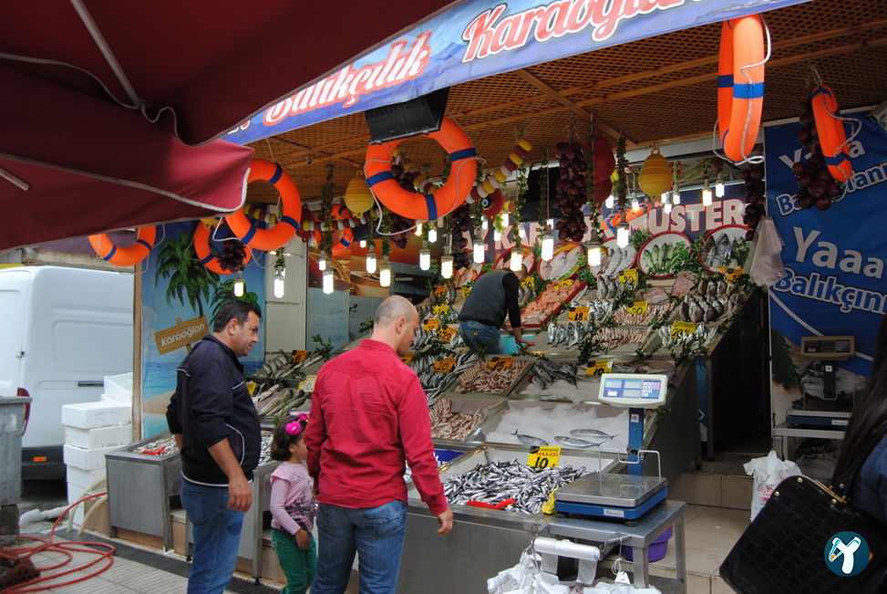 Karaoğlan Balıkçılık