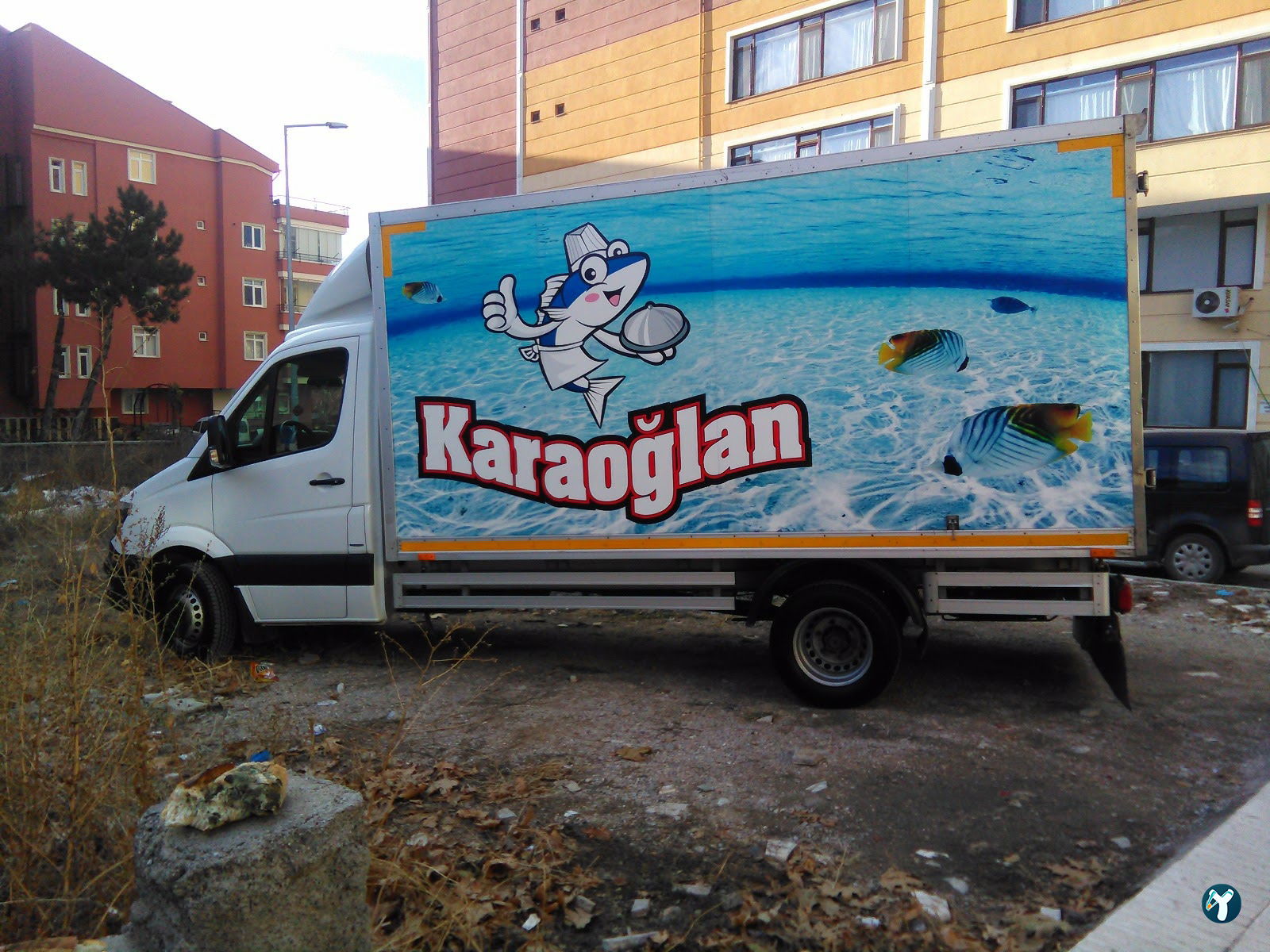 Karaoğlan Balıkçılık
