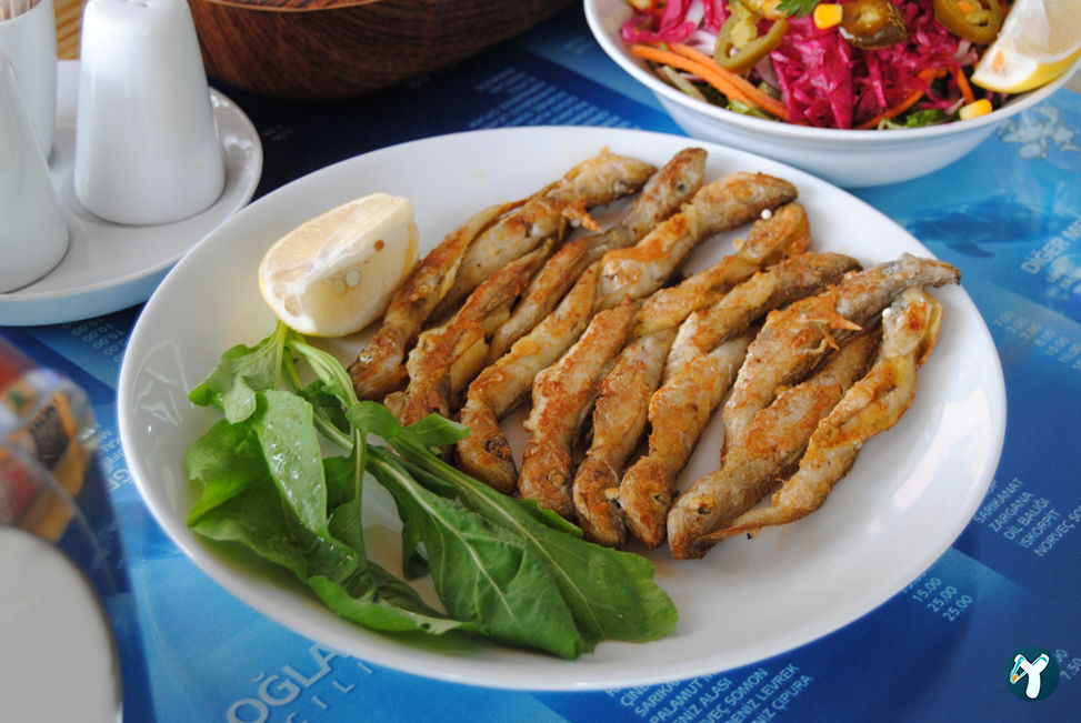 Karaoğlan Balıkçılık