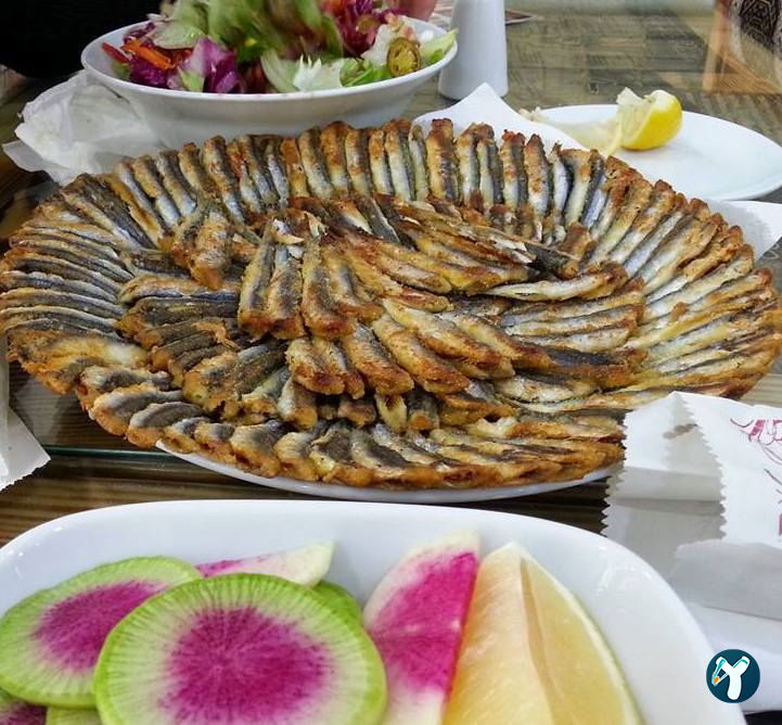 Karaoğlan Balıkçılık