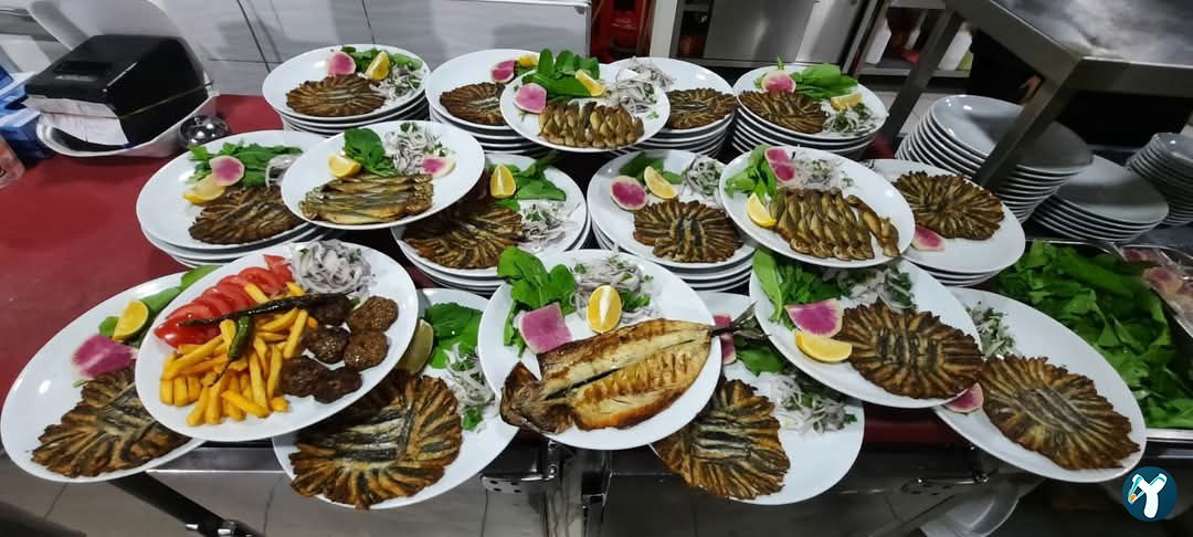 Karaoğlan Balıkçılık