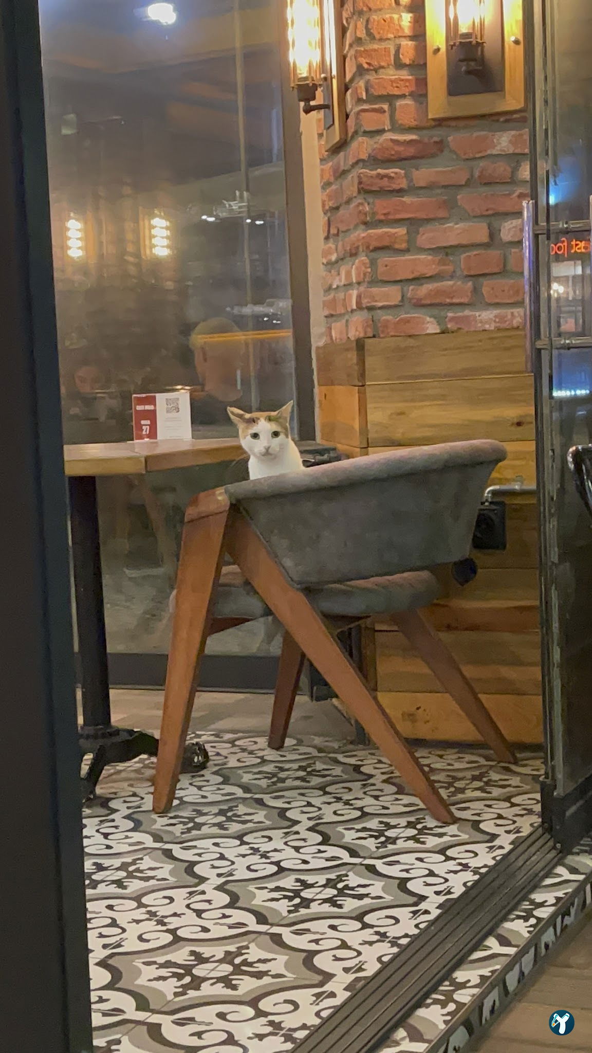 Mojo Kafe