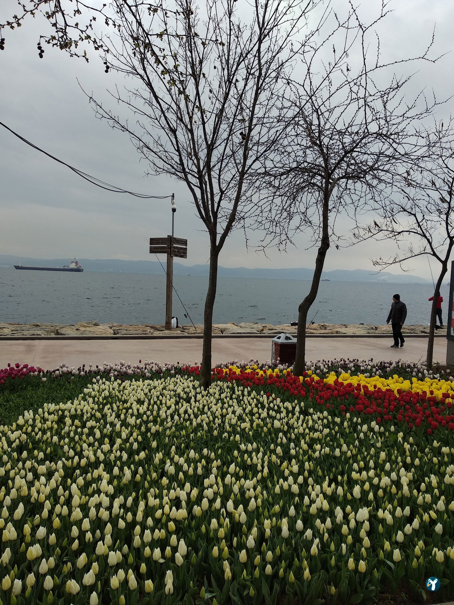Köyümün Yeri
