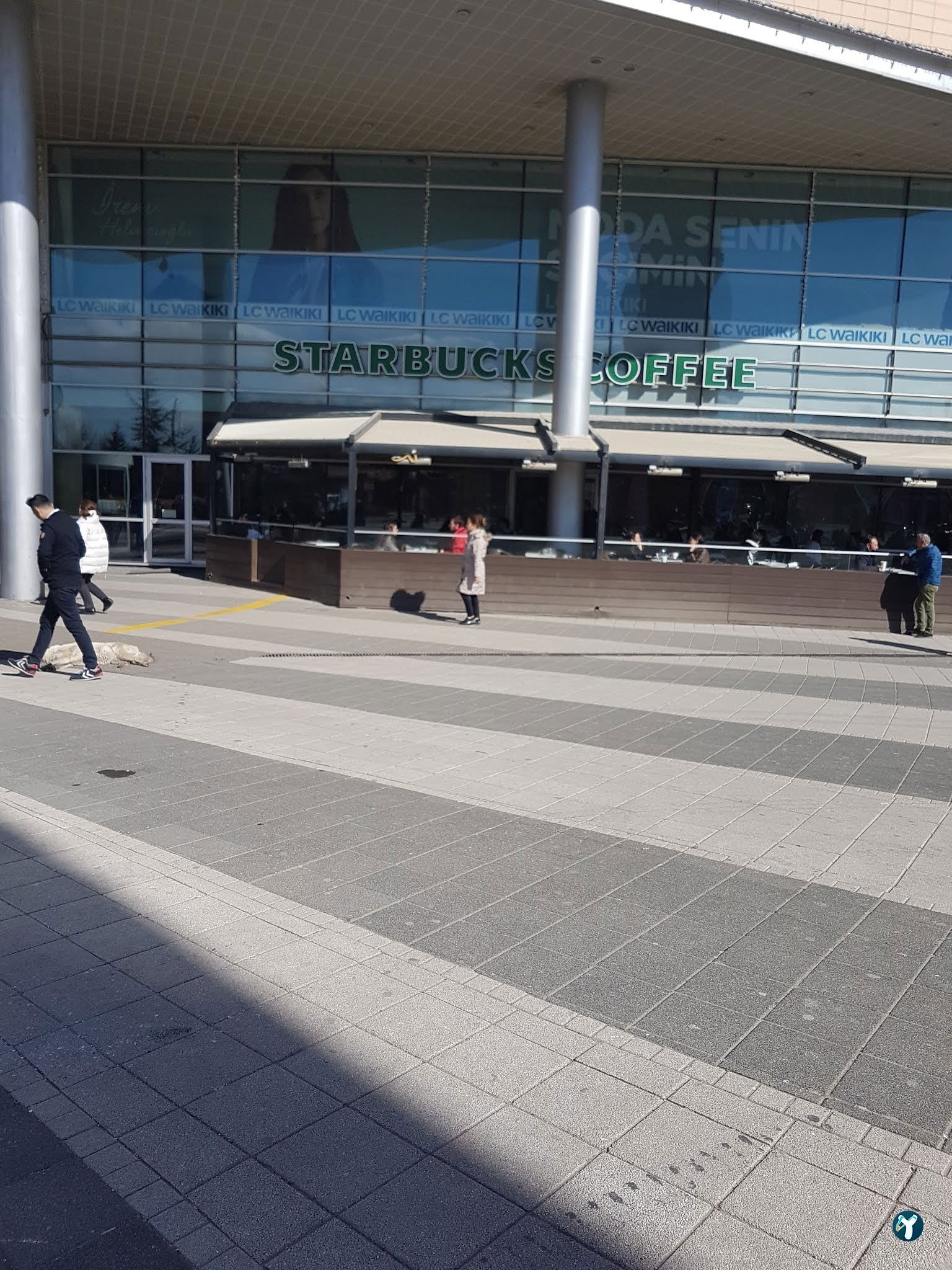 Starbucks