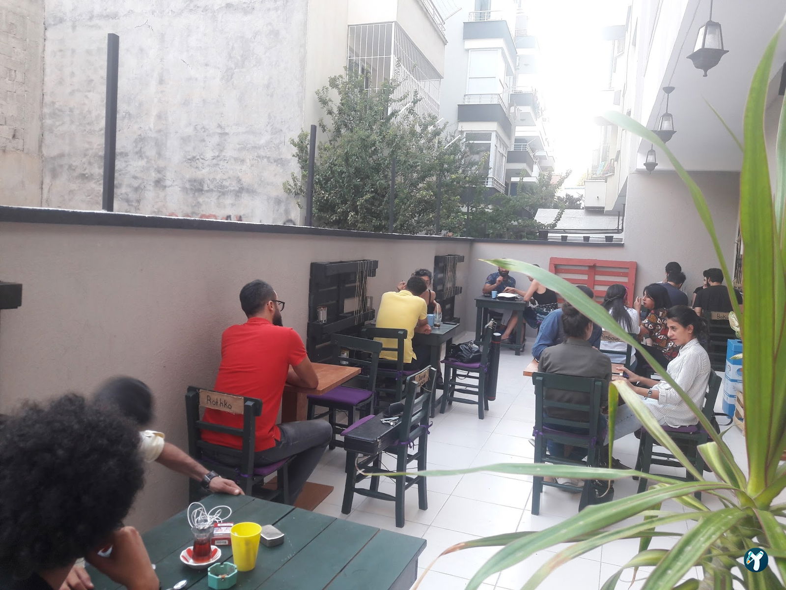 Le Cafe De Chat Noir