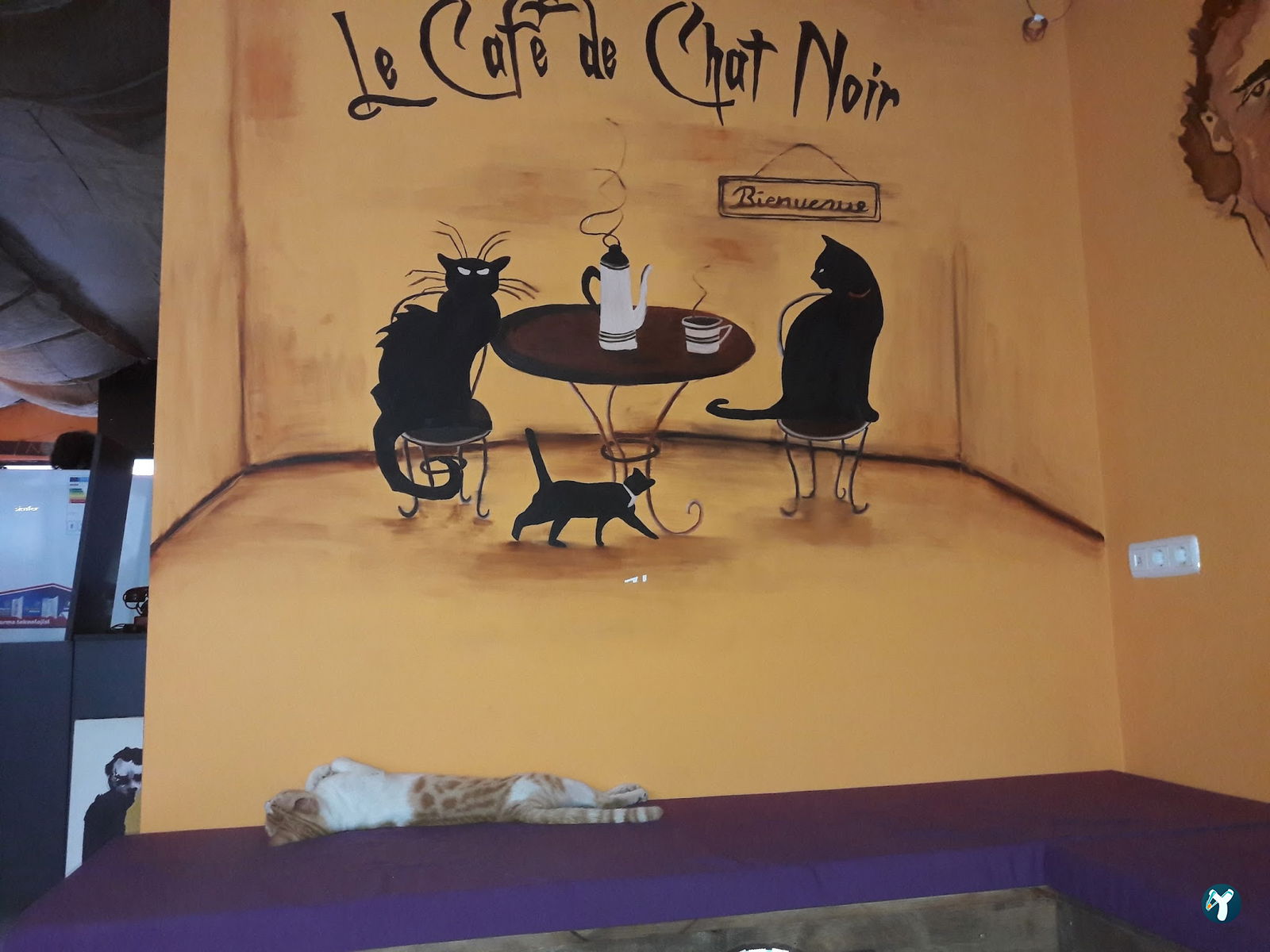 Le Cafe De Chat Noir