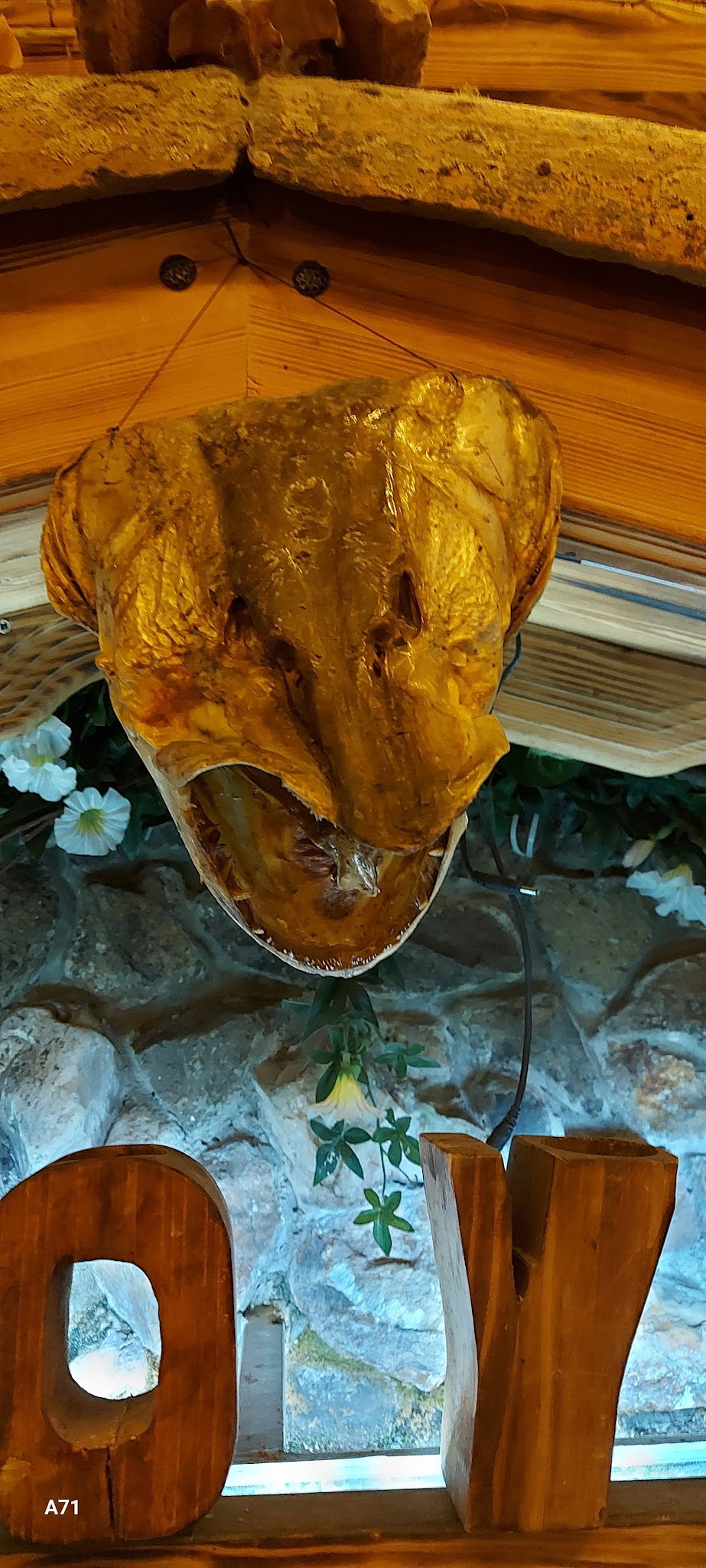 Tokdoyuran