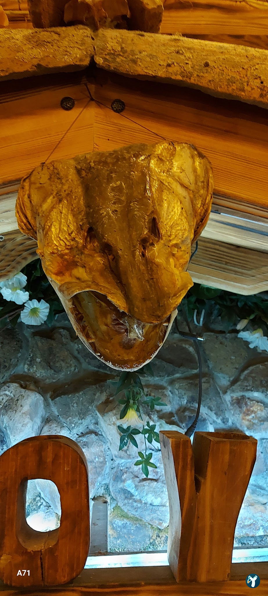 Tokdoyuran