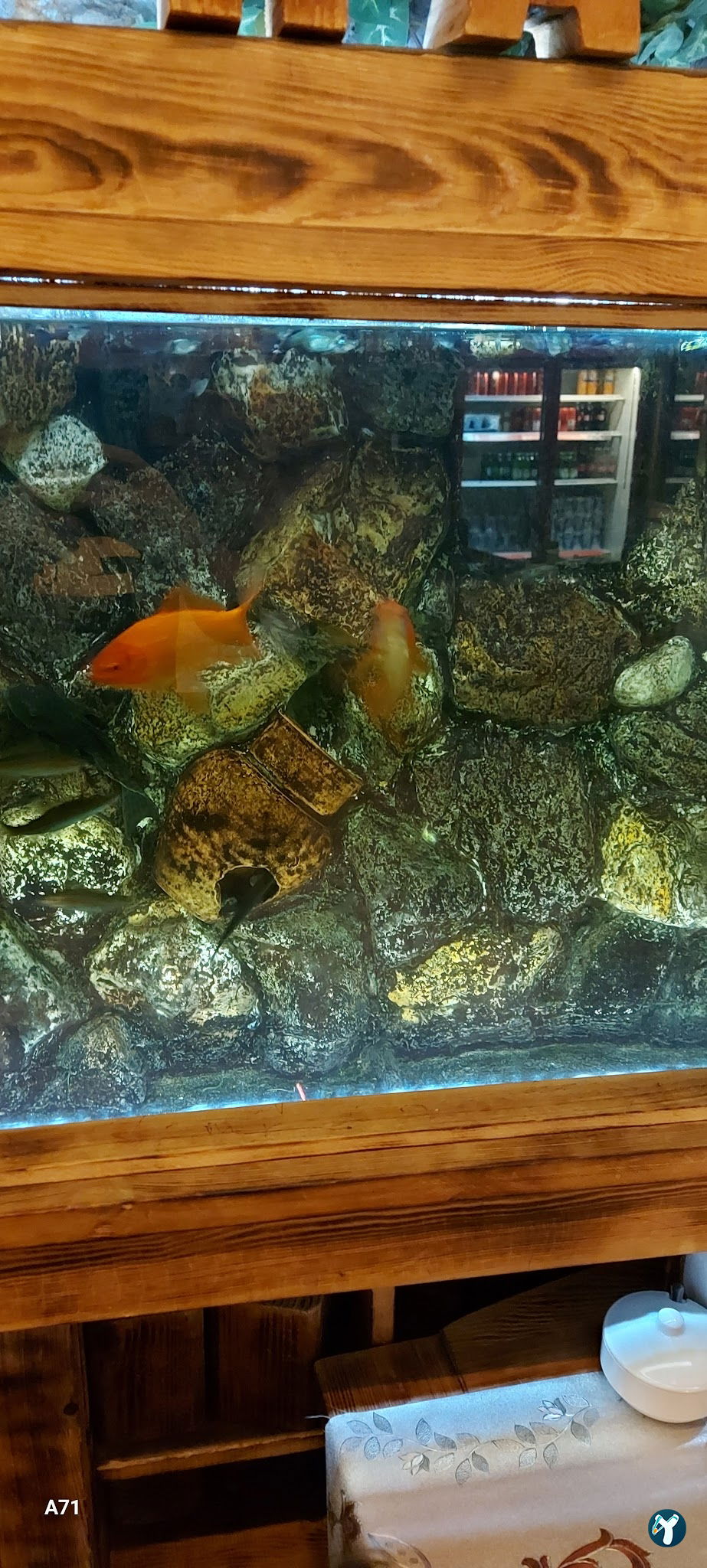 Tokdoyuran