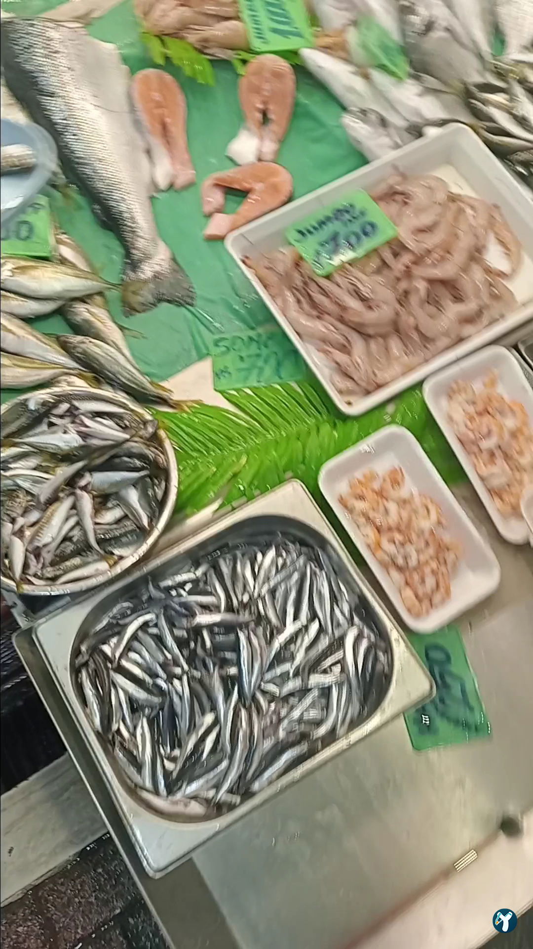 Bizim Balik Evi