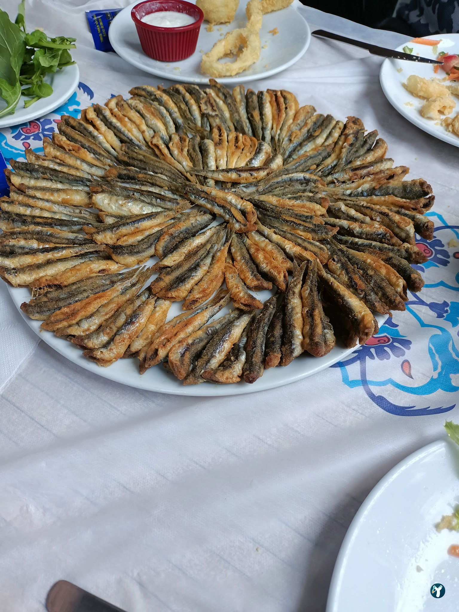 Bizim Balik Evi