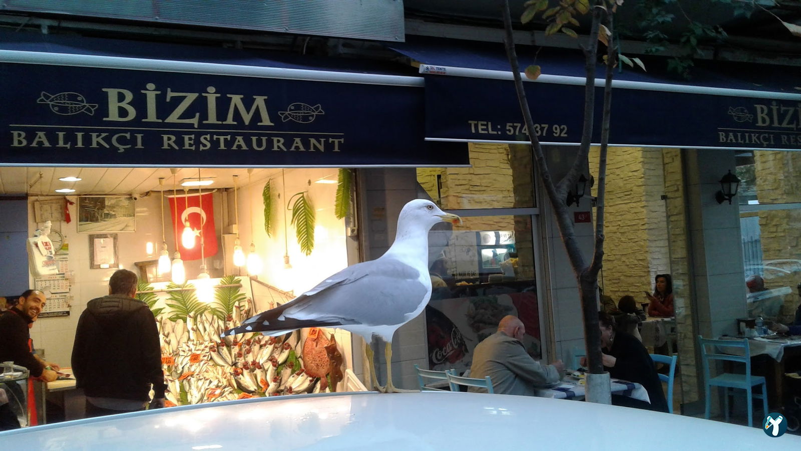 Bizim Balik Evi