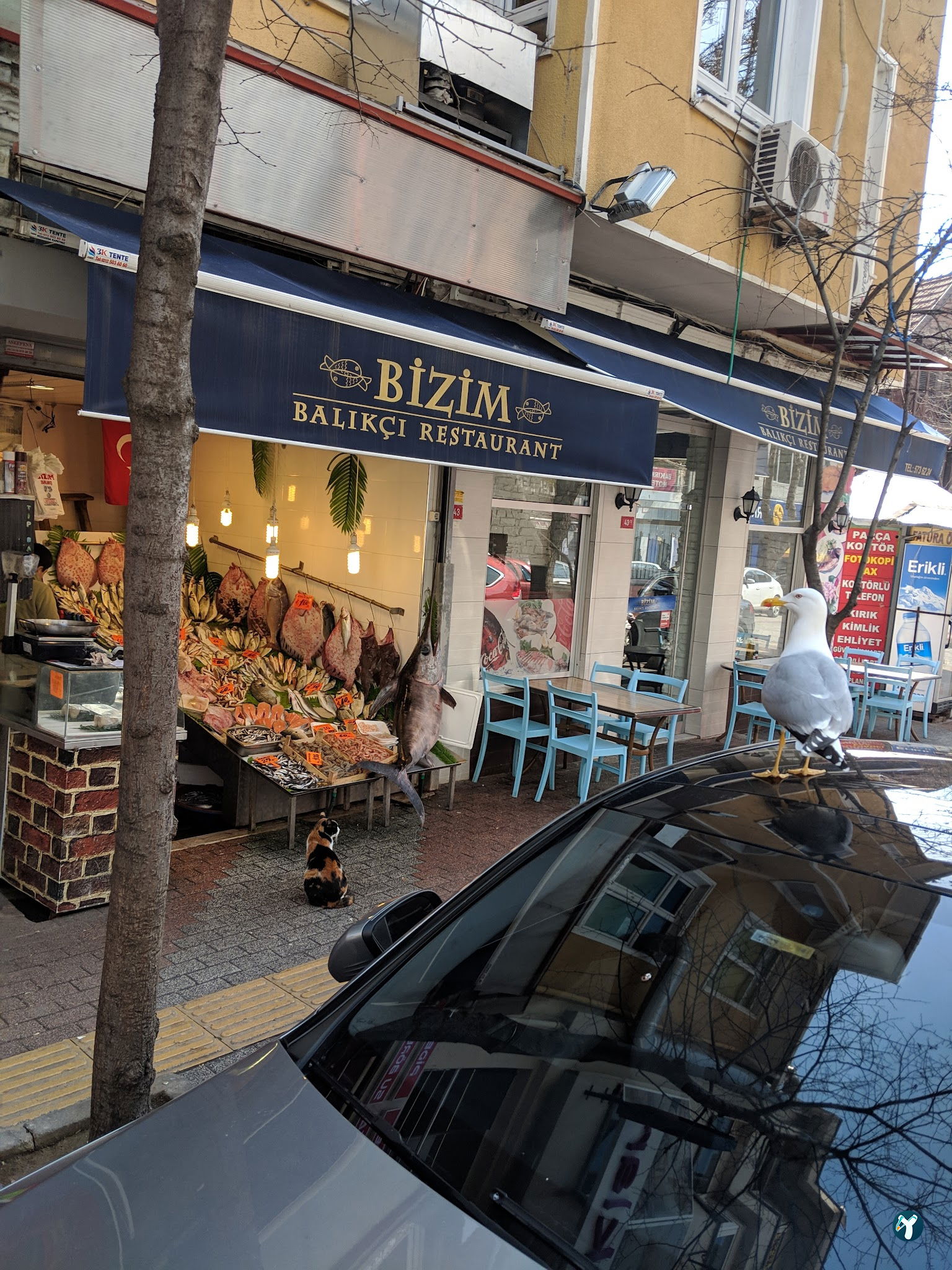 Bizim Balik Evi