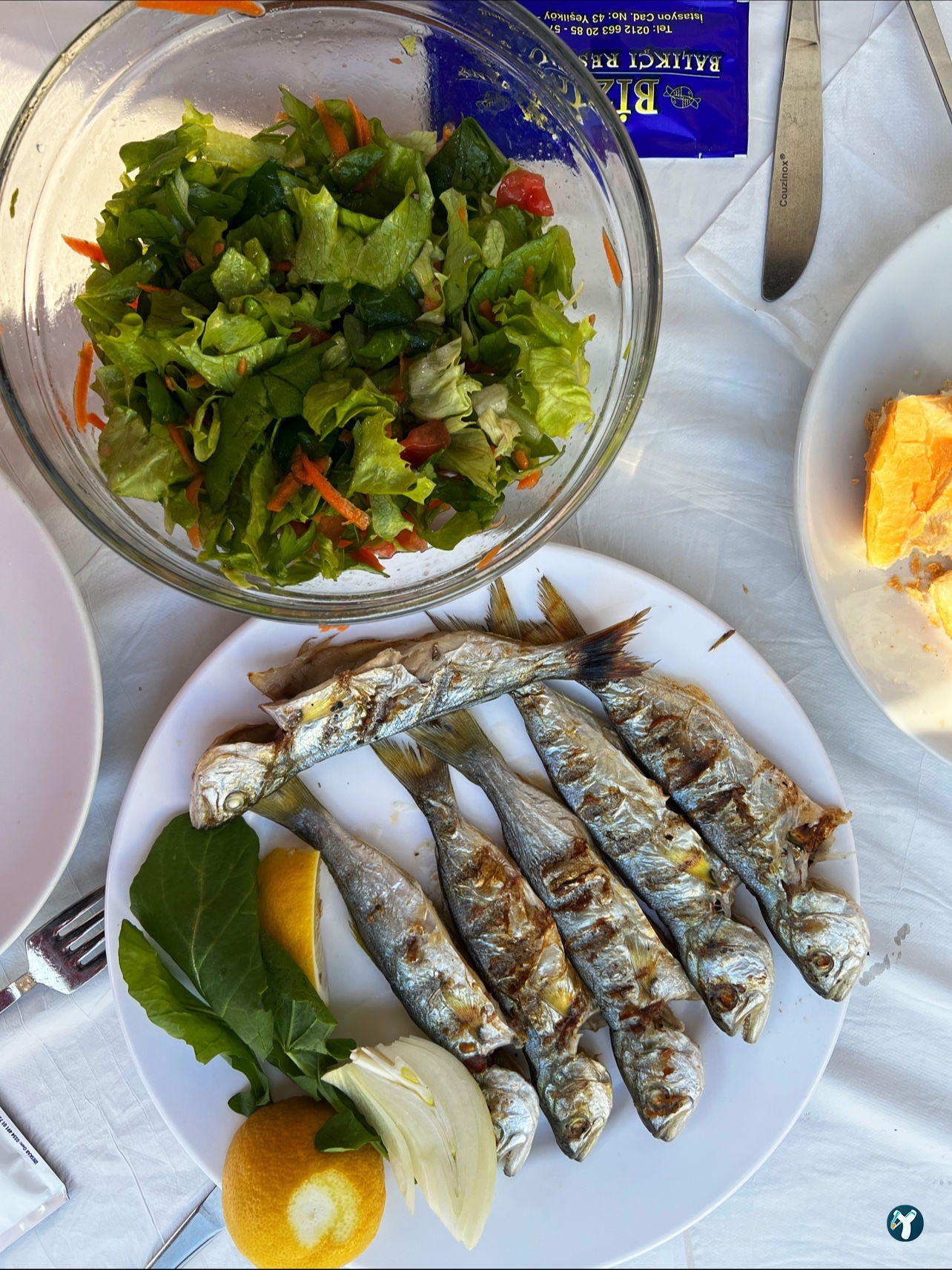 Bizim Balik Evi