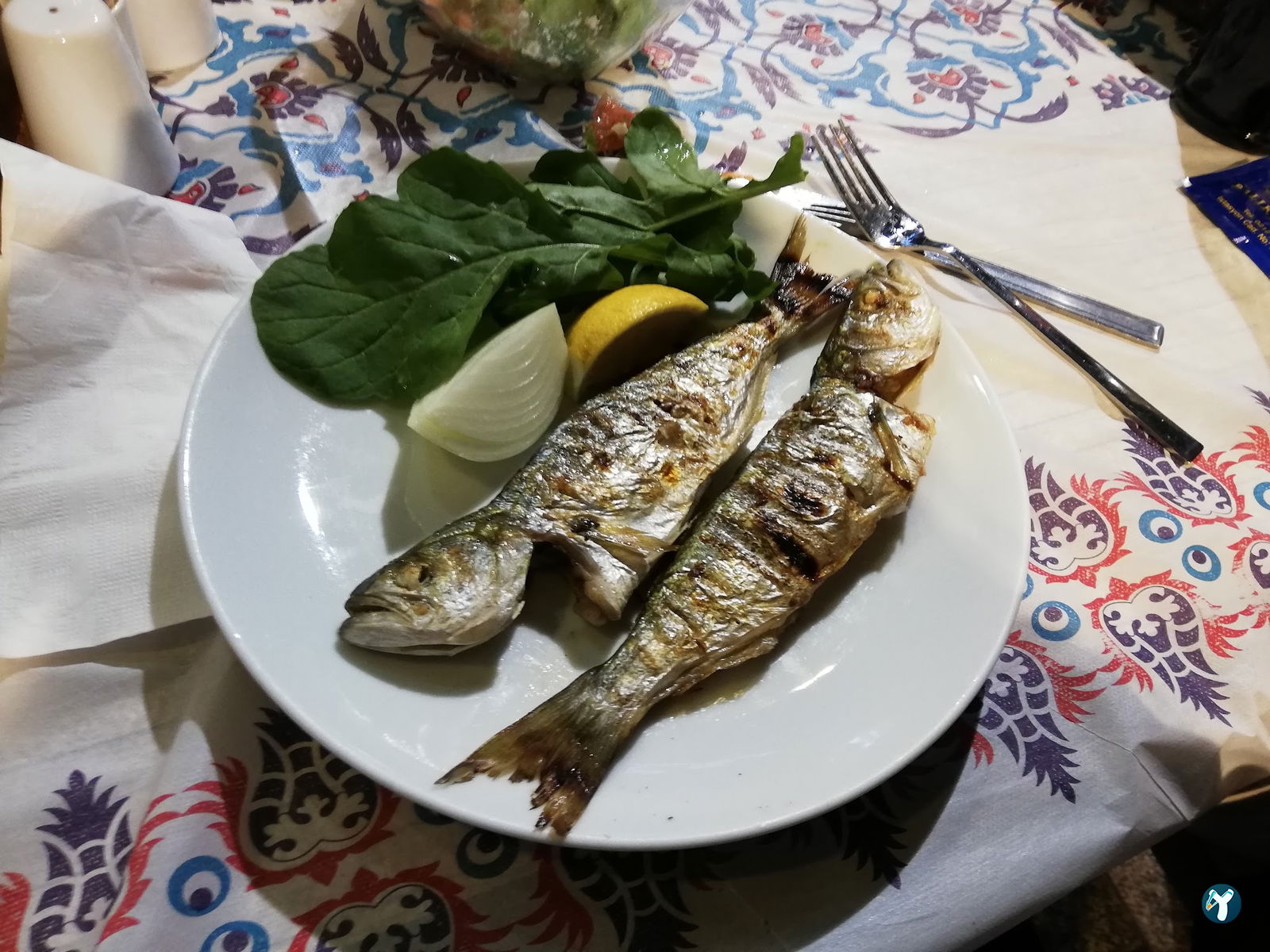 Bizim Balik Evi