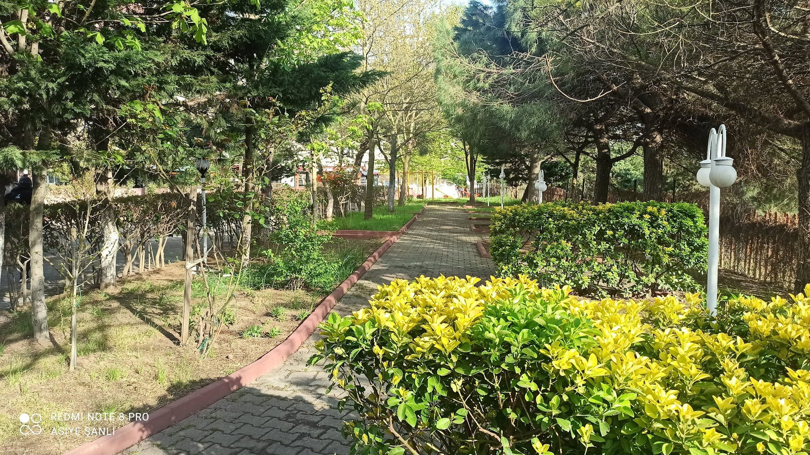 Nurtepe Bizim Balıkçı