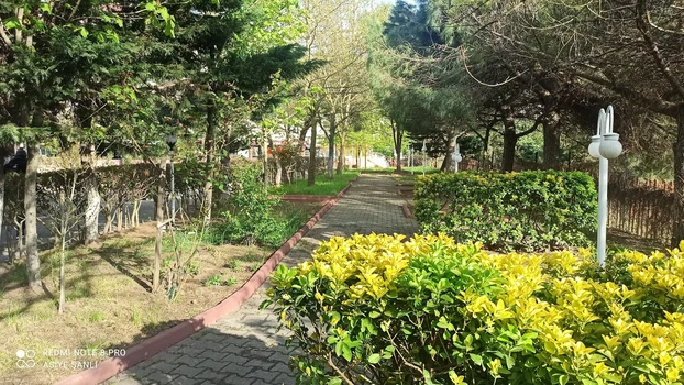 Nurtepe Bizim Balıkçı resimleri