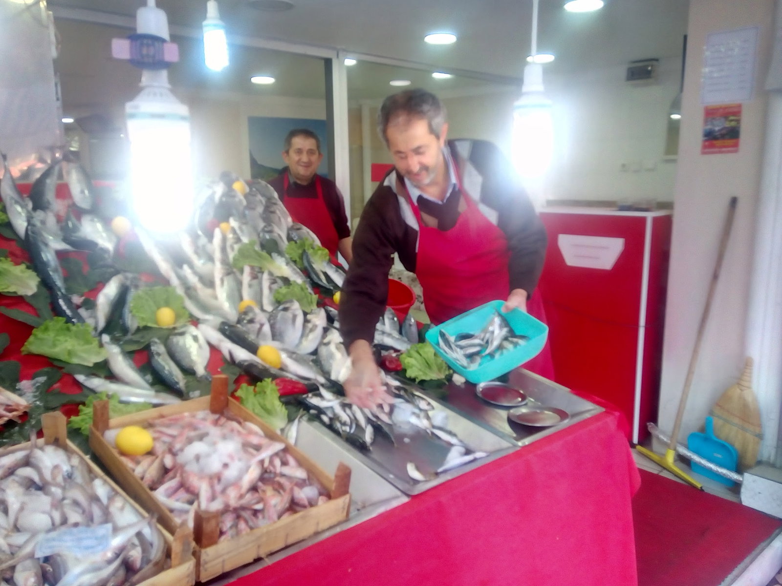 Nurtepe Bizim Balıkçı
