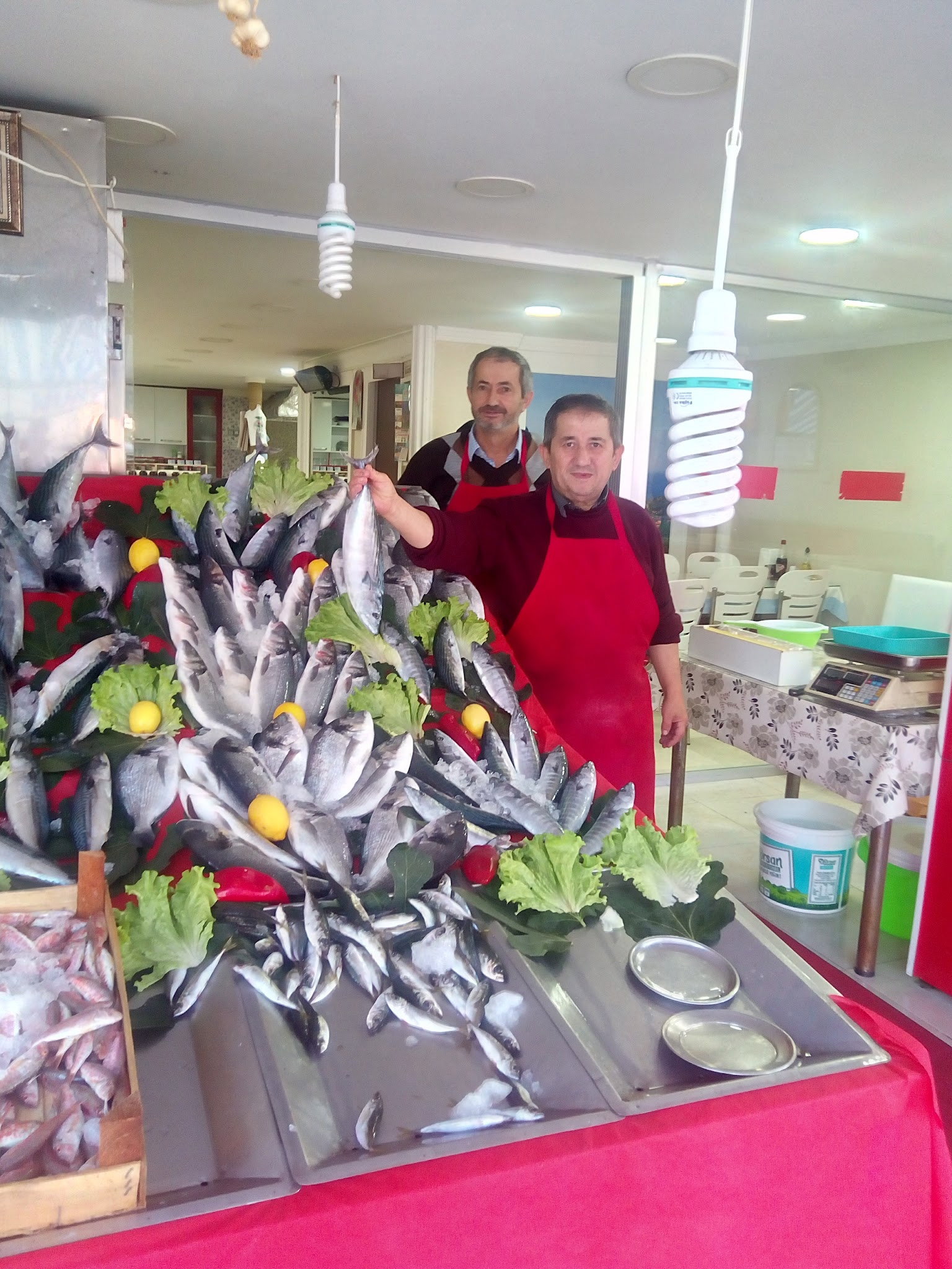 Nurtepe Bizim Balıkçı