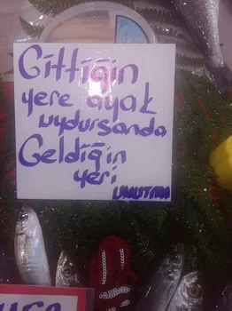 Nurtepe Bizim Balıkçı resimleri
