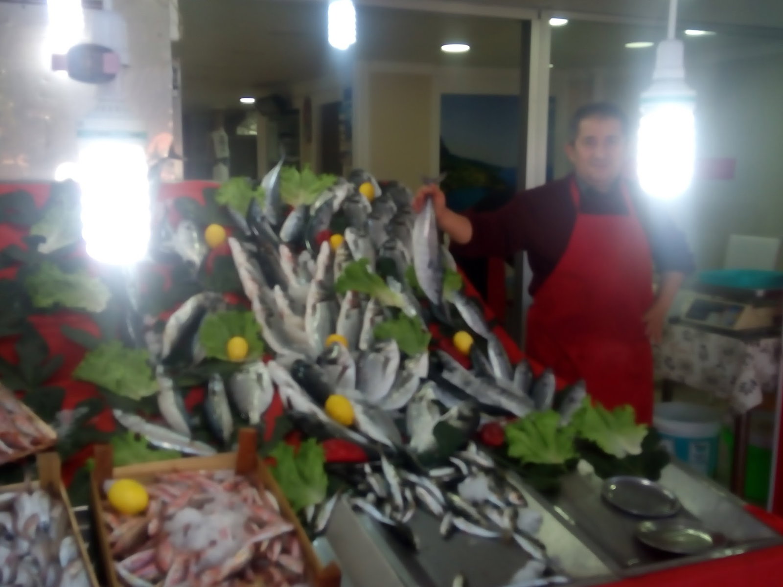 Nurtepe Bizim Balıkçı
