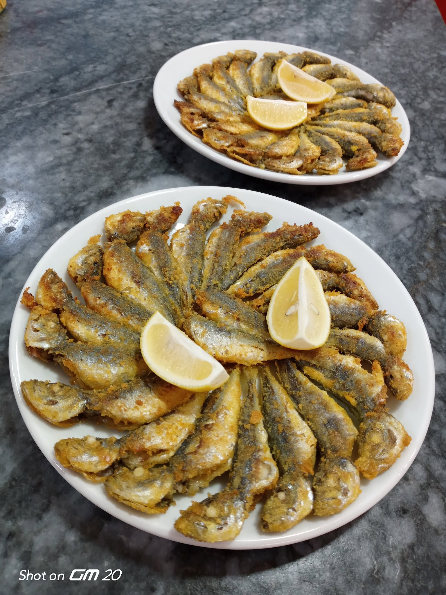 Nurtepe Bizim Balıkçı